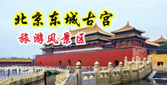 www.密臀屌操逼射中国北京-东城古宫旅游风景区